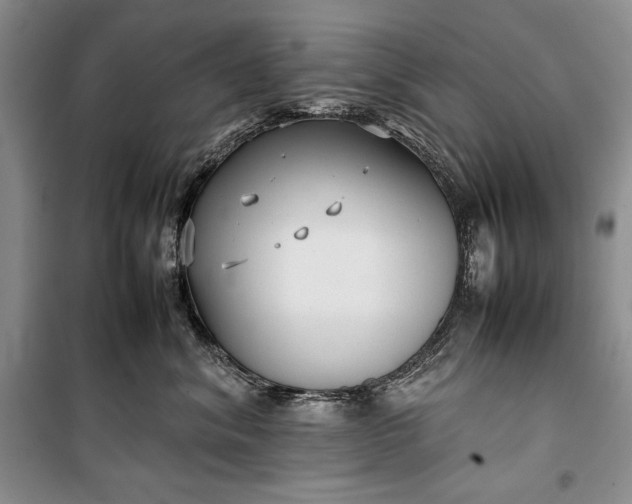 X0000100190620200806131209