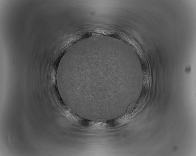 X0000100190621200806131209