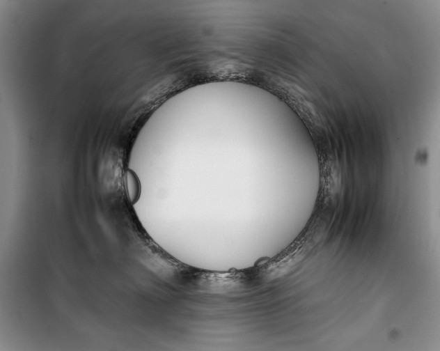 X0000100190622200806131209