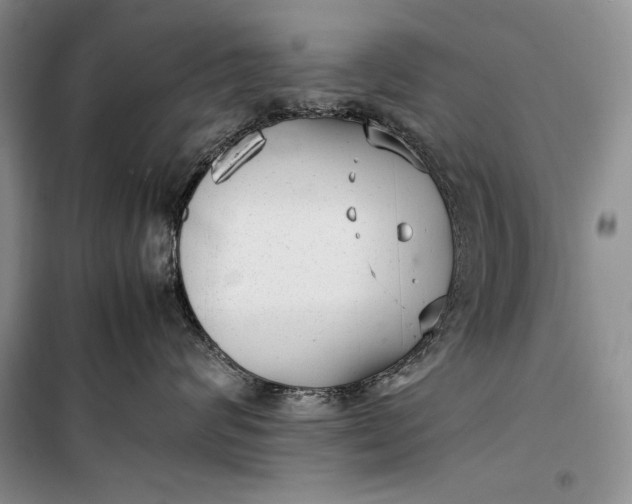 X0000100190624200806131209