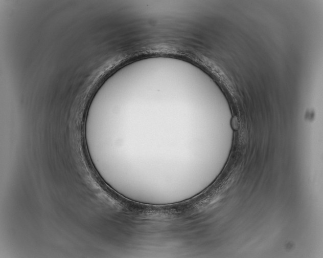 X0000100190625200806131208