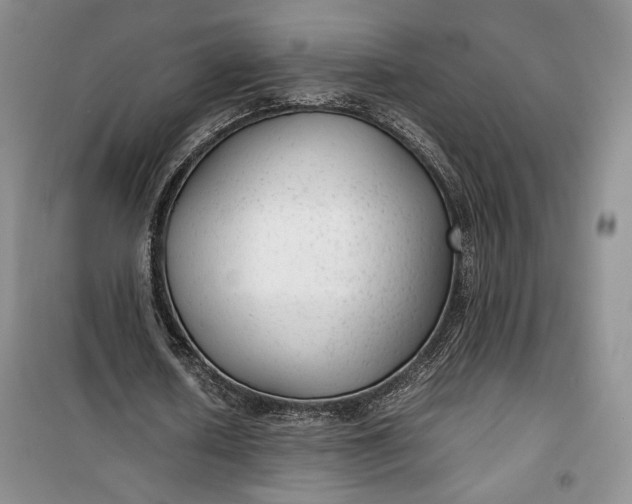 X0000100190626200806131208