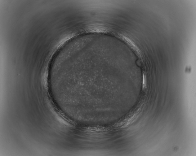 X0000100190627200806131208