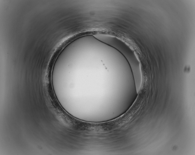 X0000100190628200806131208