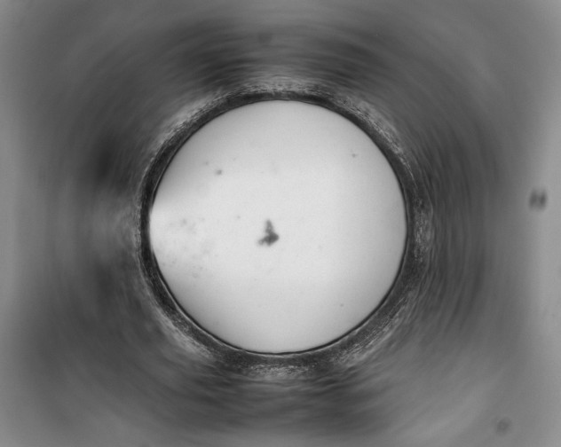 X0000100190629200806131208