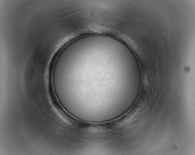 X0000100190630200806131208