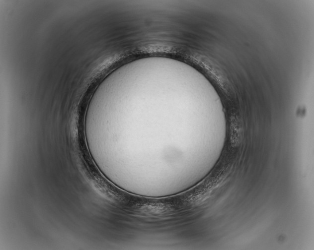 X0000100190631200806131208