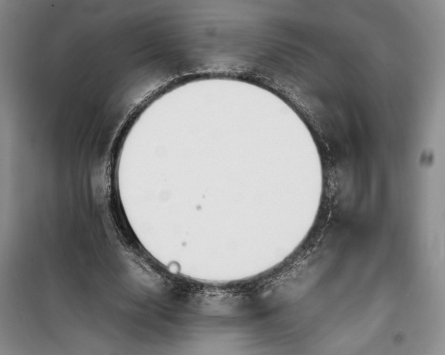 X0000100190632200806131208