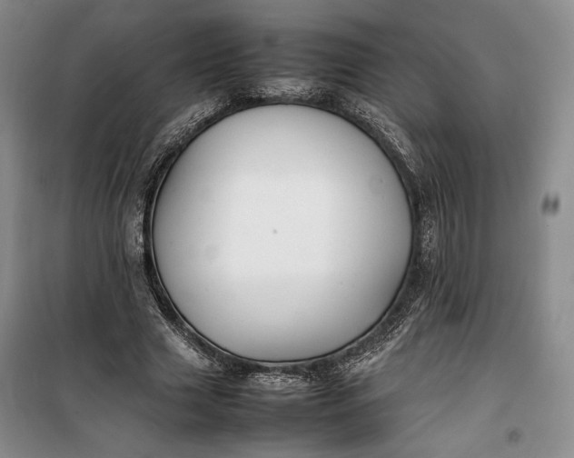 X0000100190633200806131208