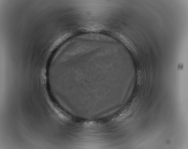 X0000100190634200806131208