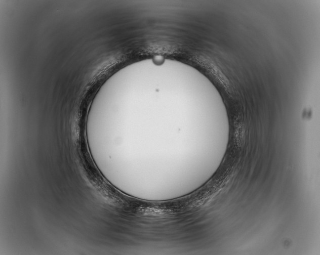 X0000100190635200806131208