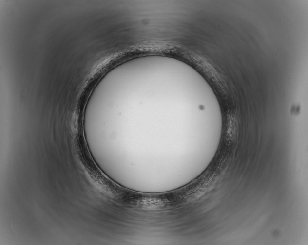 X0000100190636200806131208