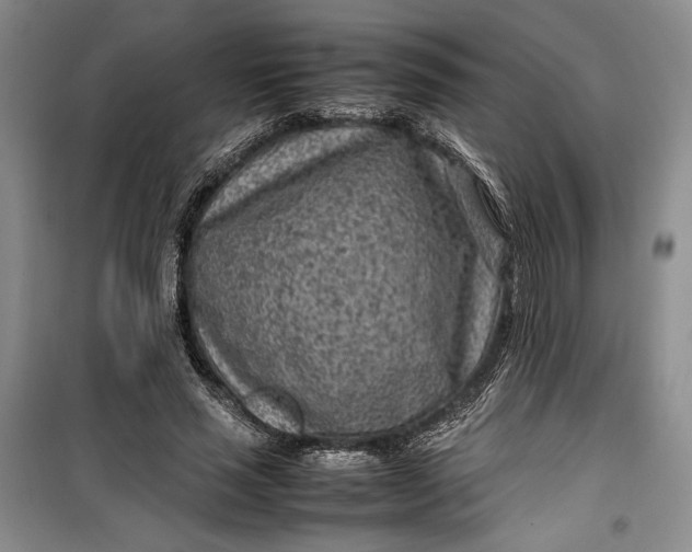 X0000100190637200806131208