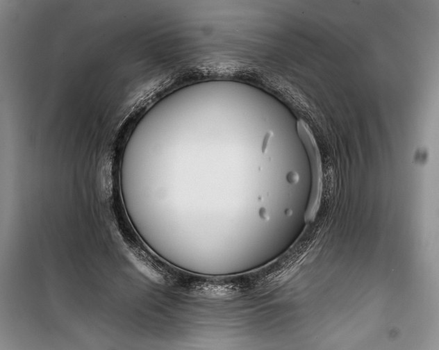 X0000100190638200806131208