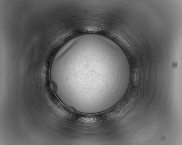 X0000100190639200806131208