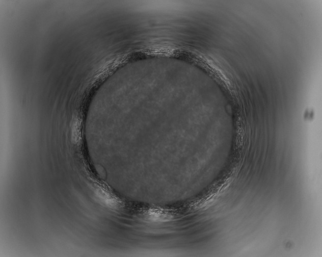 X0000100190641200806131208