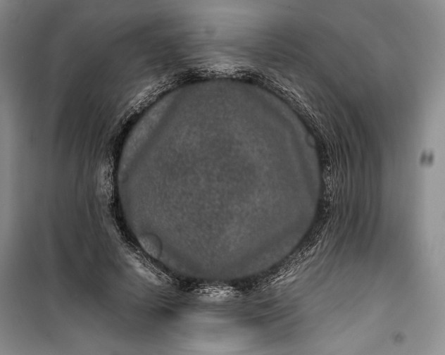 X0000100190642200806131208