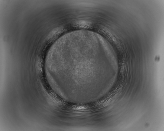 X0000100190643200806131208