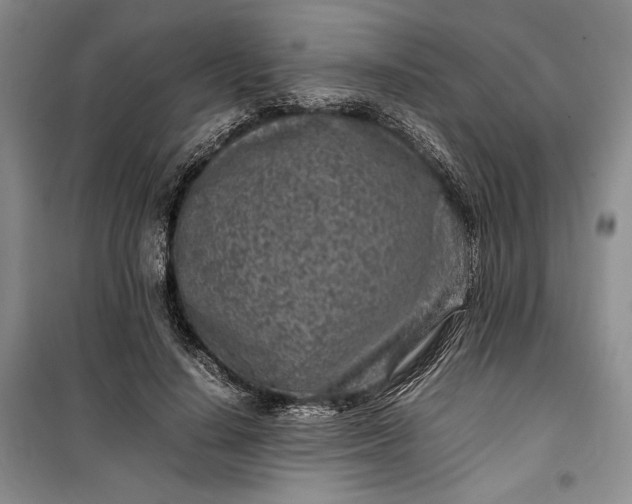 X0000100190644200806131208