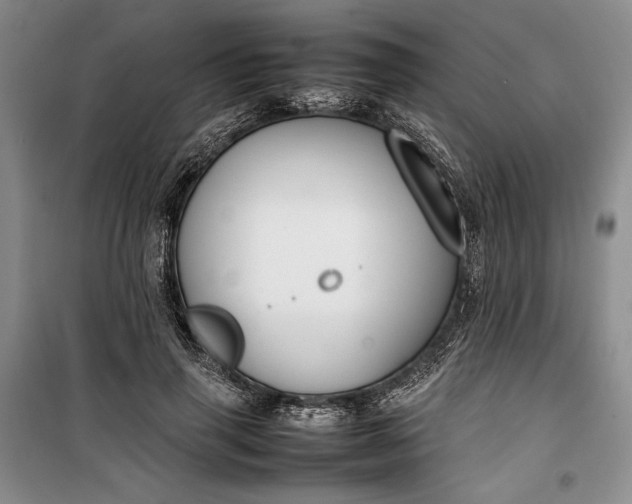 X0000100190645200806131209