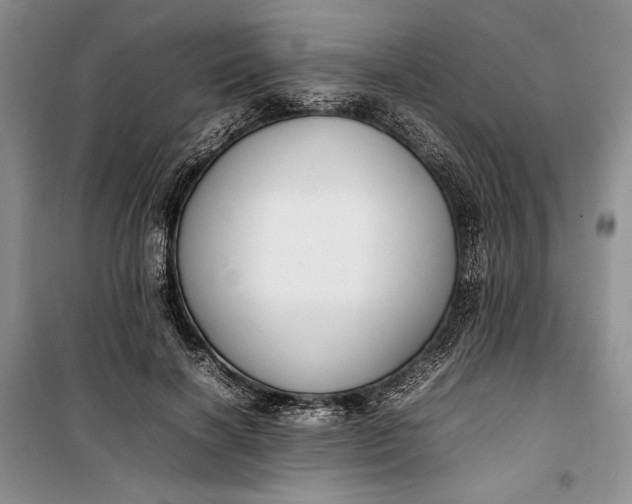 X0000100190646200806131209