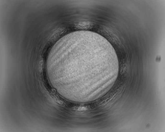 X0000100190647200806131209