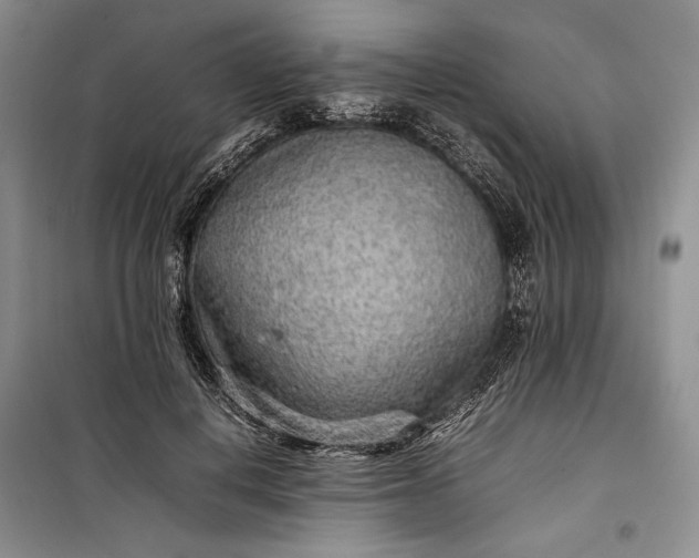 X0000100190648200806131209