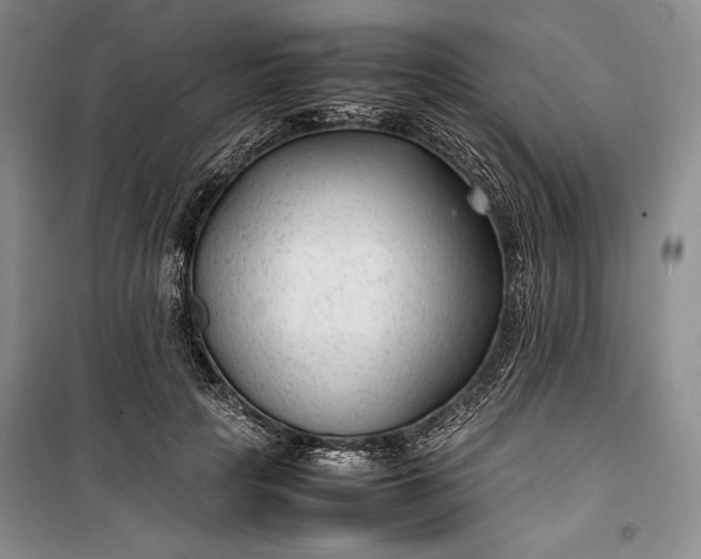 X0000100190649200806131209