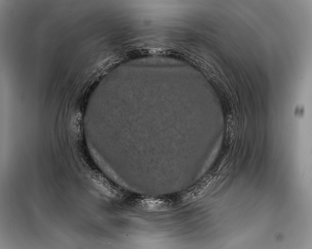 X0000100190650200806131209