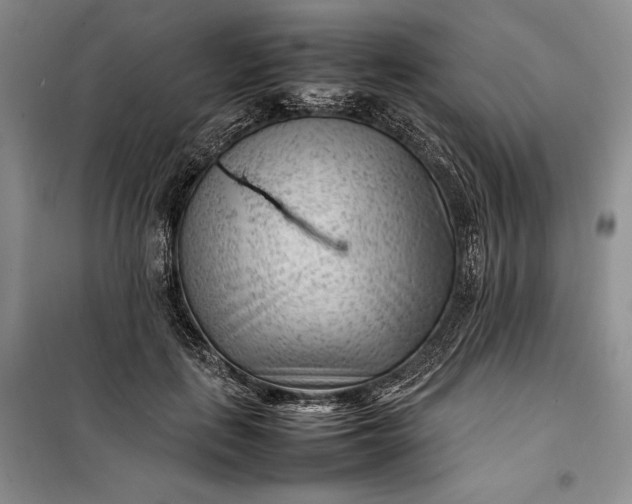 X0000100190651200806131209