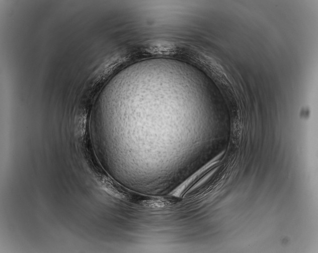 X0000100190652200806131209