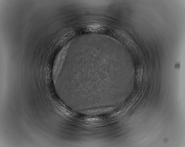 X0000100190653200806131209