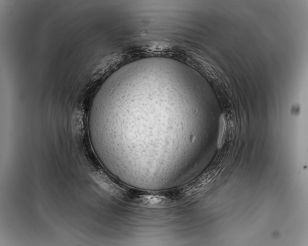 X0000100190654200806131209