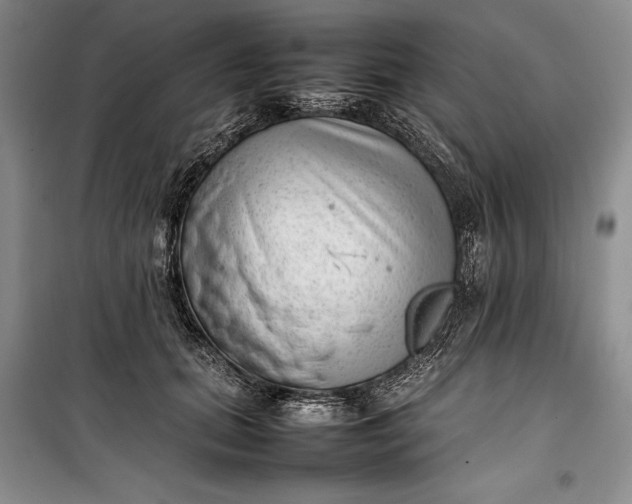 X0000100190655200806131209