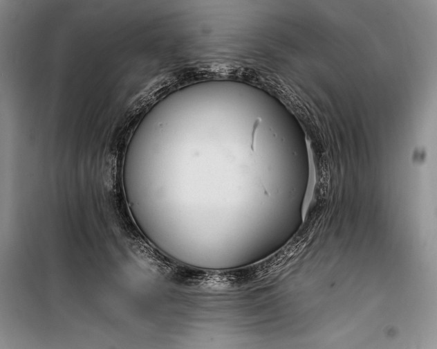 X0000100190656200806131209