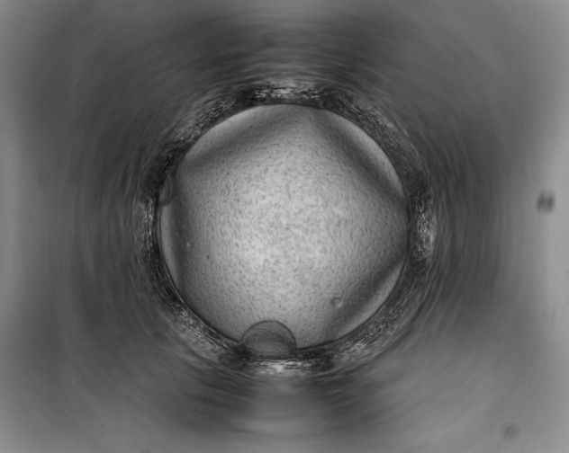 X0000100190657200806131209