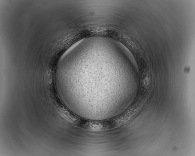 X0000100190658200806131209