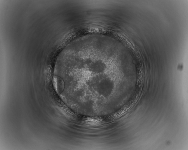 X0000100190659200806131209