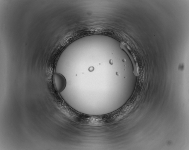 X0000100190660200806131209