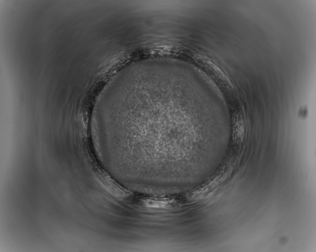 X0000100190661200806131209