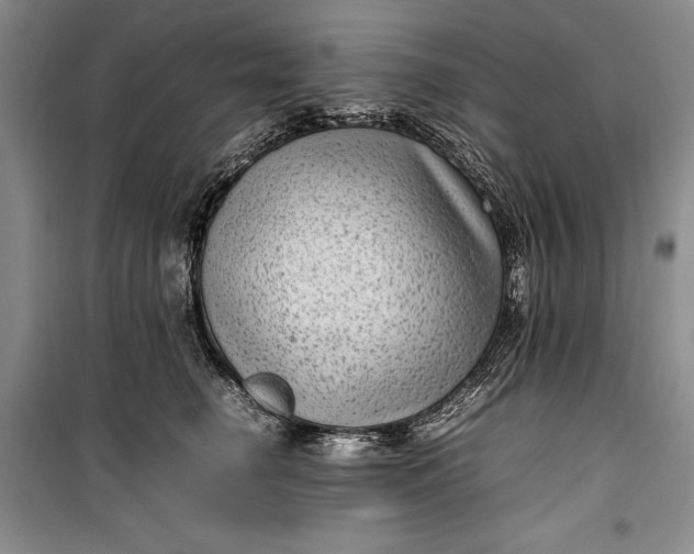 X0000100190662200806131209