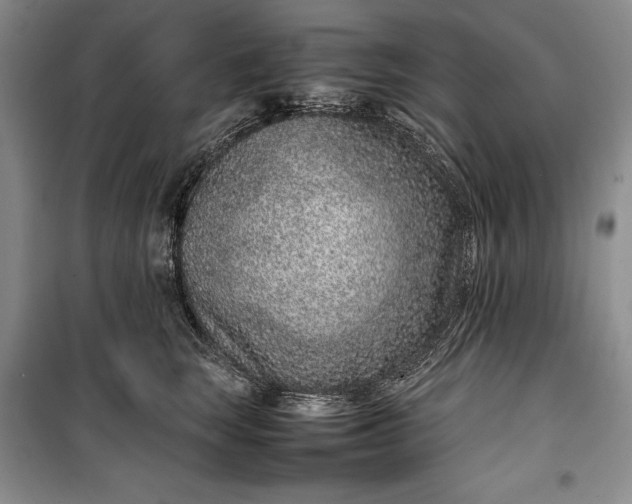 X0000100190663200806131209