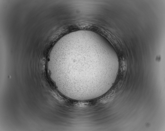 X0000100190664200806131209