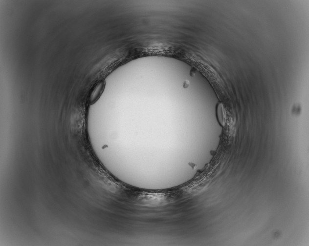 X0000100190665200806131209