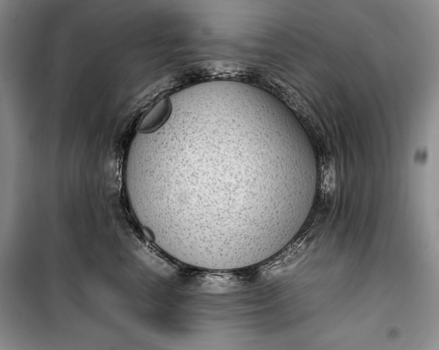 X0000100190666200806131209