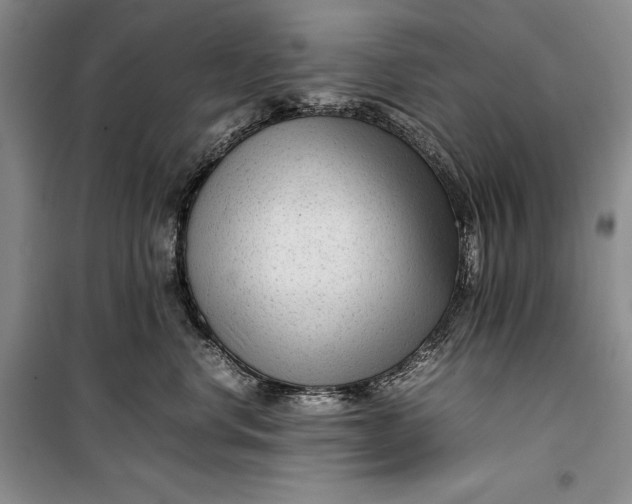 X0000100190668200806131209