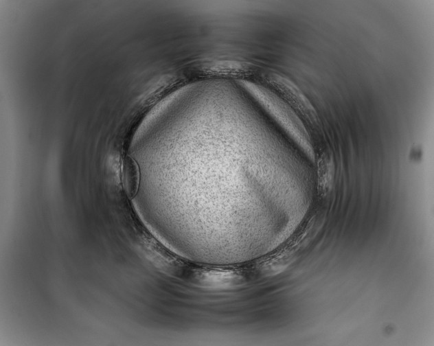 X0000100190669200806131209