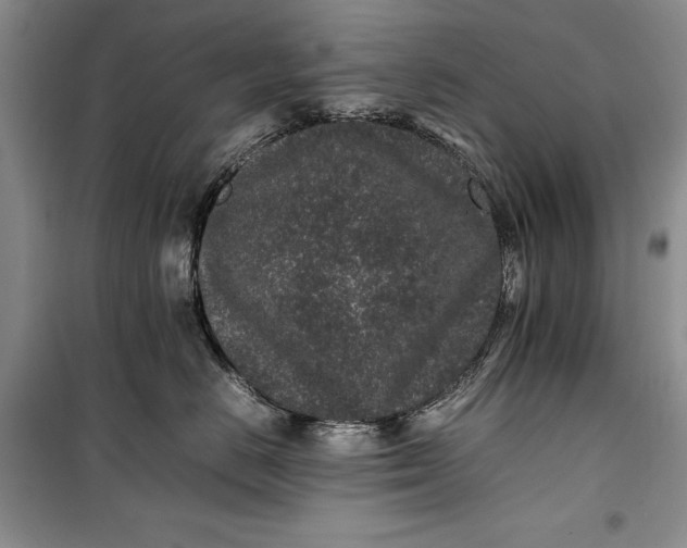 X0000100190670200806131209