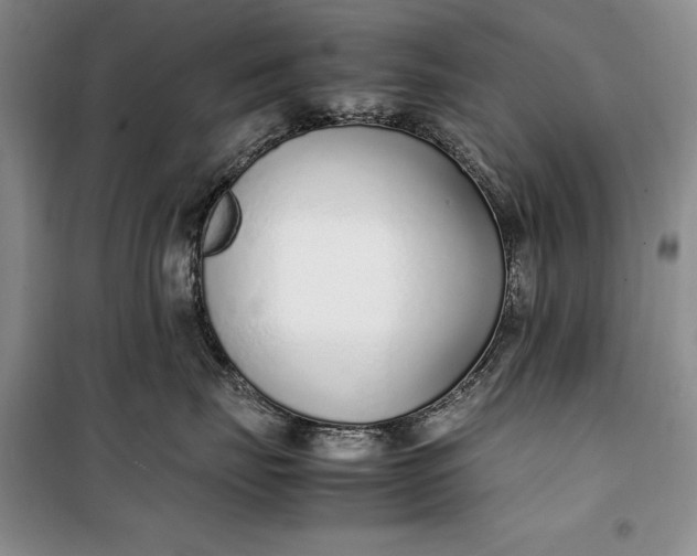 X0000100190671200806131209