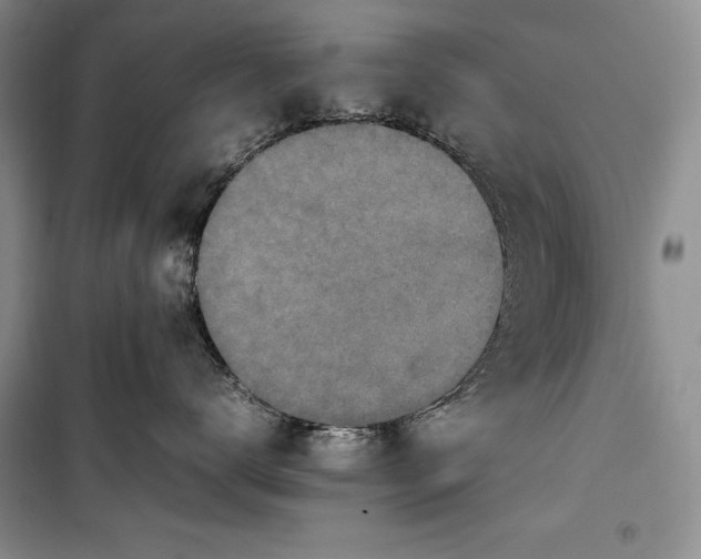 X0000100190672200806131209